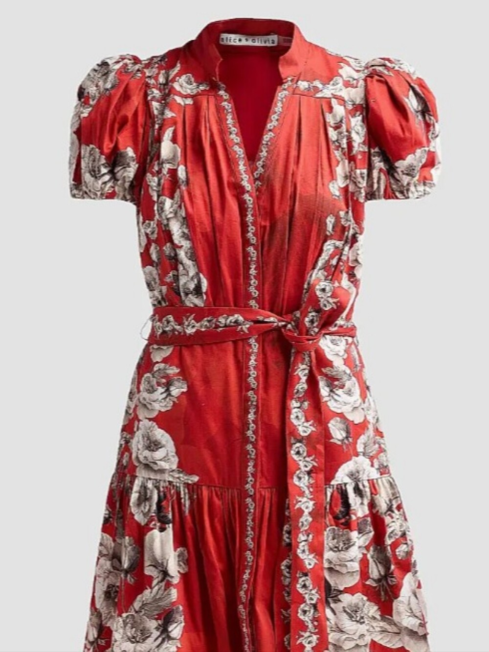 Red Floral Short Sleeve Tie-Waist Dress
